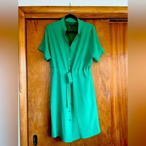 Green Dress with Gold Accents